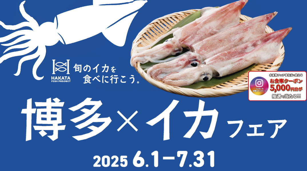 博多×イカフェア2025